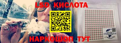 шишки Аша