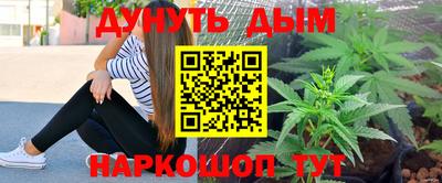 шишки Аша