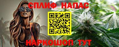 шишки Аша