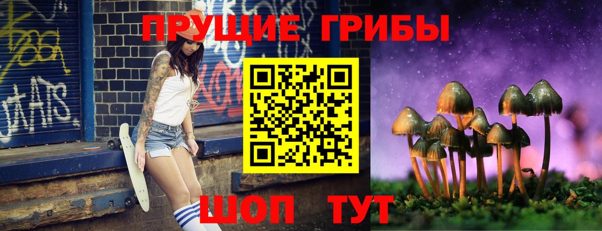 Псилоцибиновые грибы Psilocybine cubensis  Галлюциногенные грибы Cubensis  Вход с VPN  Унеча 