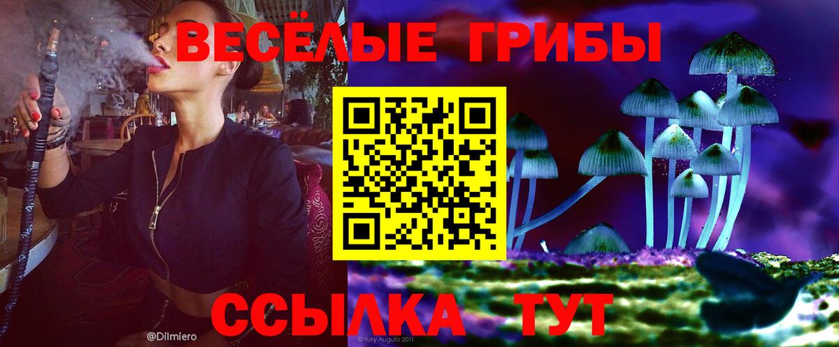 Псилоцибиновые грибы Psilocybine cubensis Унеча